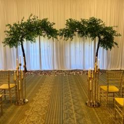 10.25.22-golden-with-tree-arch