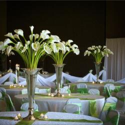 calla-lilies-1